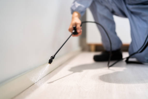 Licensed Cockroach Control service in Topeka, IN - Nex Pest Control
