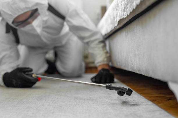 Professional Cockroach Control technician working in Topeka, IN